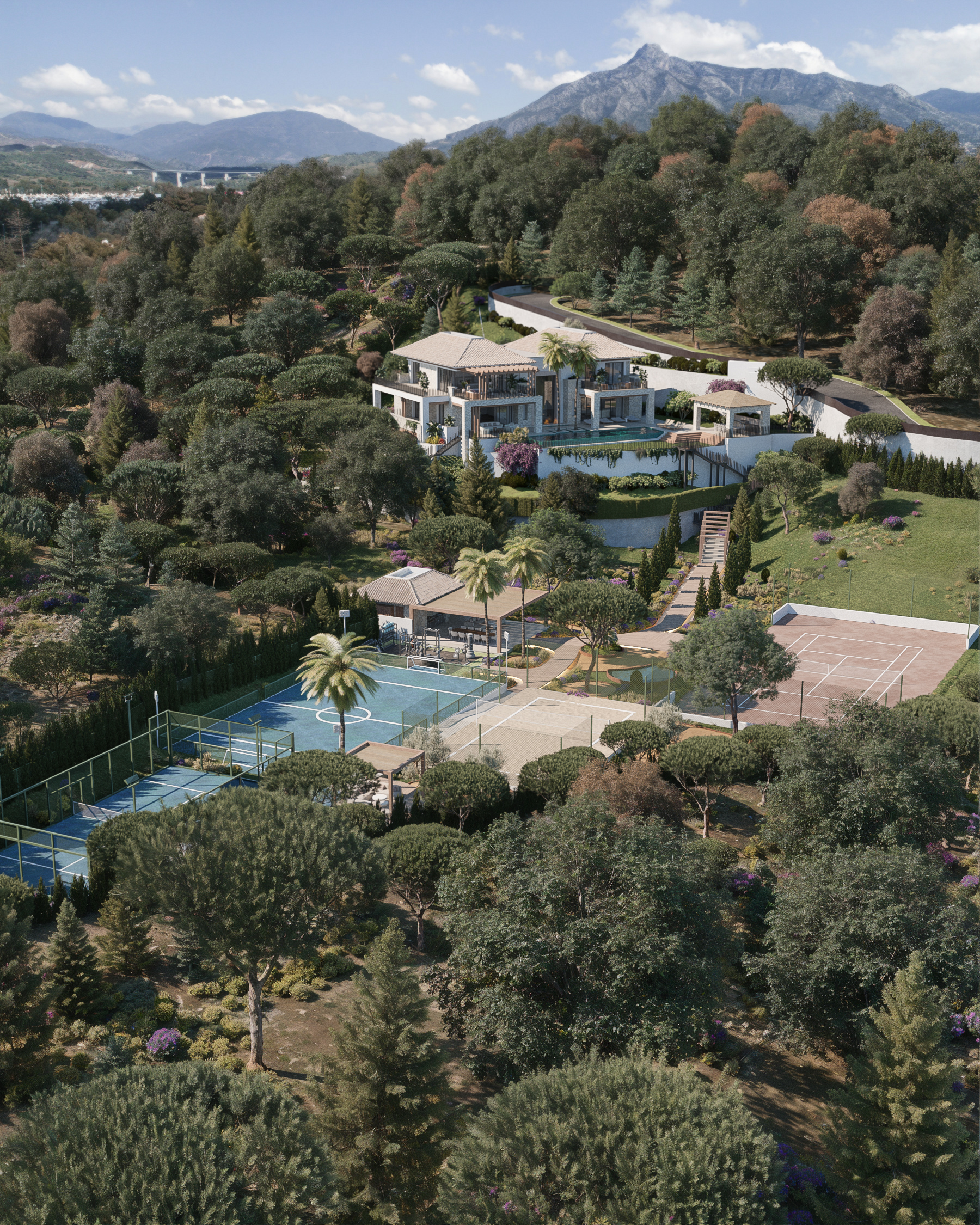 The Hills #1